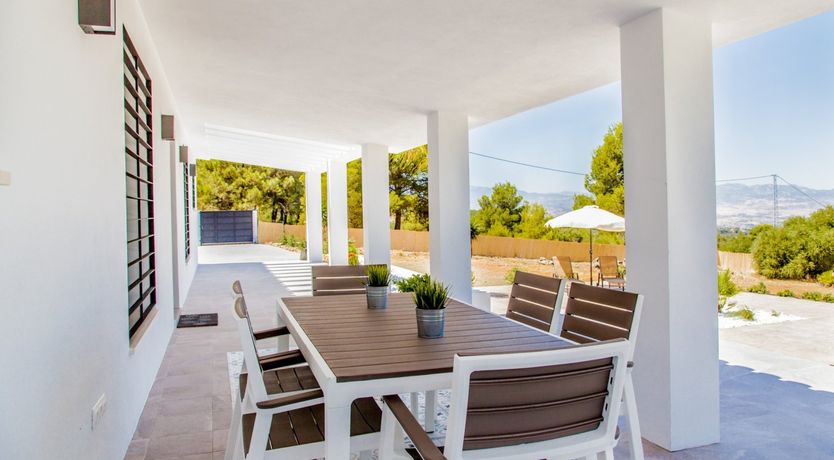 Photo of Between The Palm Leaves