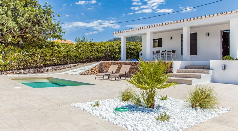 Photo of Between The Palm Leaves