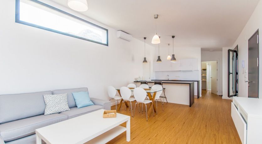 Photo of Between The Palm Leaves