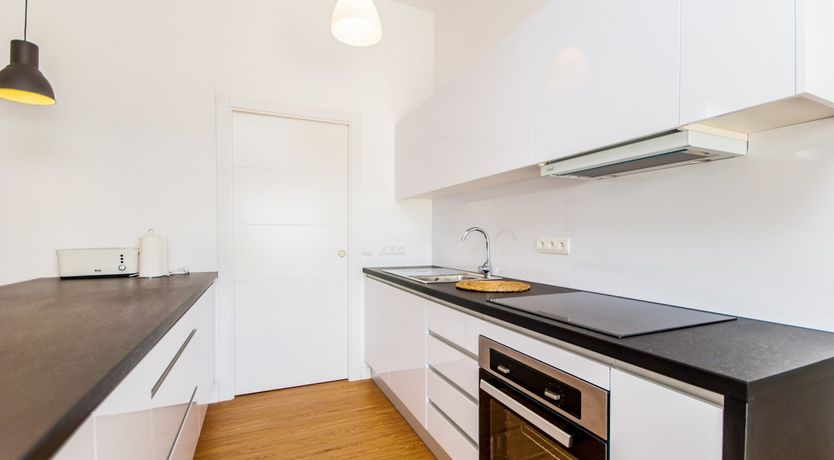 Photo of Between The Palm Leaves