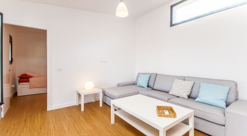 Photo of Between The Palm Leaves