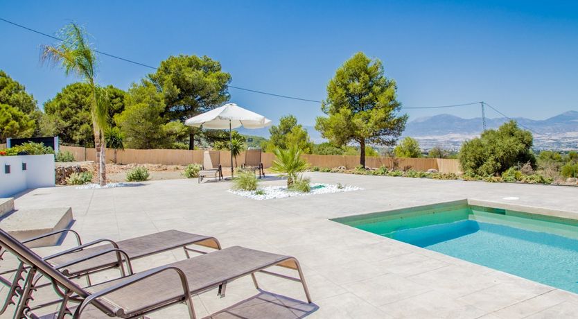 Photo of Between The Palm Leaves