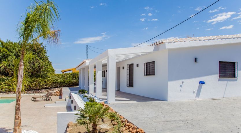 Photo of Between The Palm Leaves