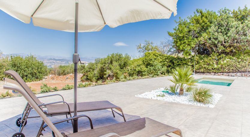 Photo of Between The Palm Leaves