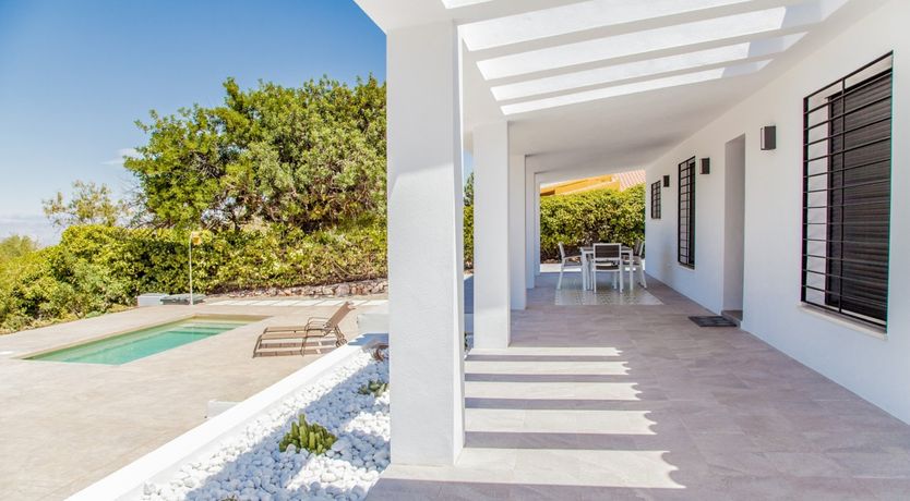 Photo of Between The Palm Leaves