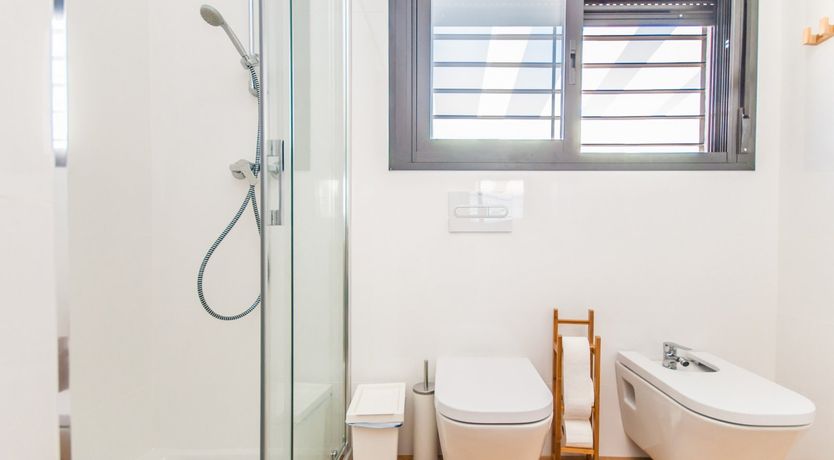 Photo of Between The Palm Leaves