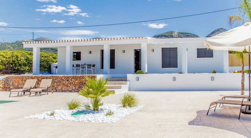 Photo of Between The Palm Leaves