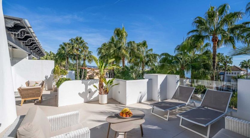 Photo of Palms & Deuces