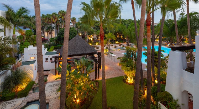 Photo of Palms & Deuces