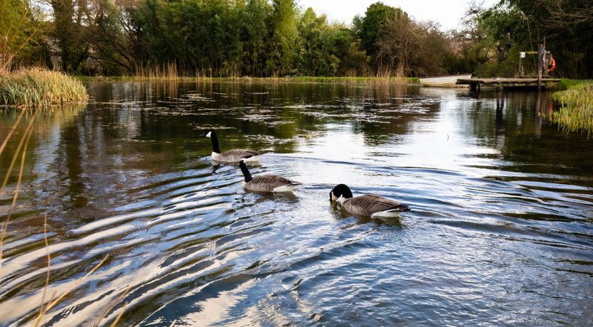 Photo of Dorset Cream Tea