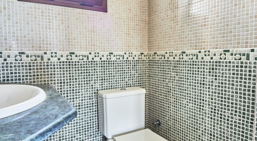 Photo of Farmyard Phantasia