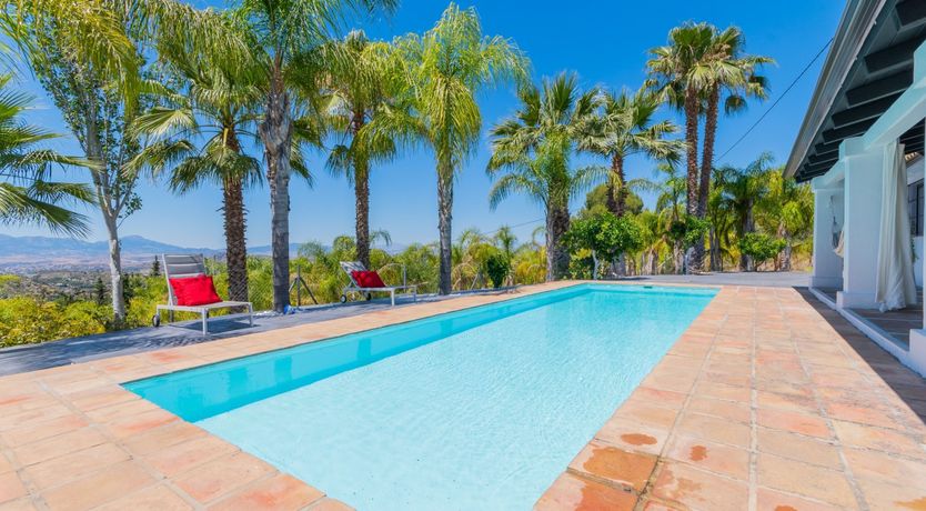 Photo of Palm Tree Shade