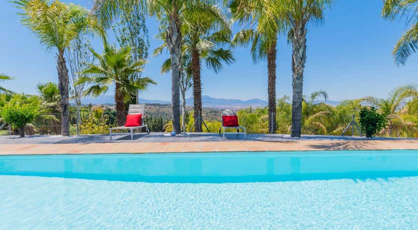 Photo of Palm Tree Shade