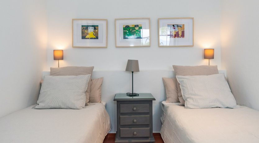 Photo of Palm Tree Shade