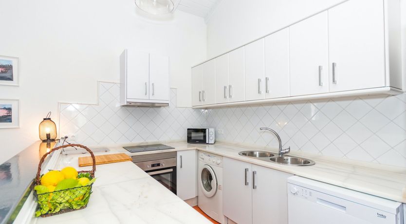 Photo of Palm Tree Shade