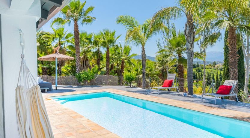 Photo of Palm Tree Shade