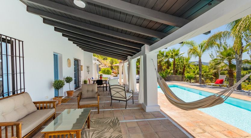 Photo of Palm Tree Shade