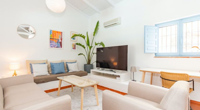 Photo of Palm Tree Shade