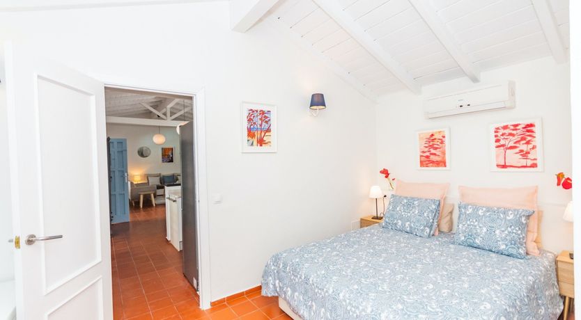 Photo of Palm Tree Shade