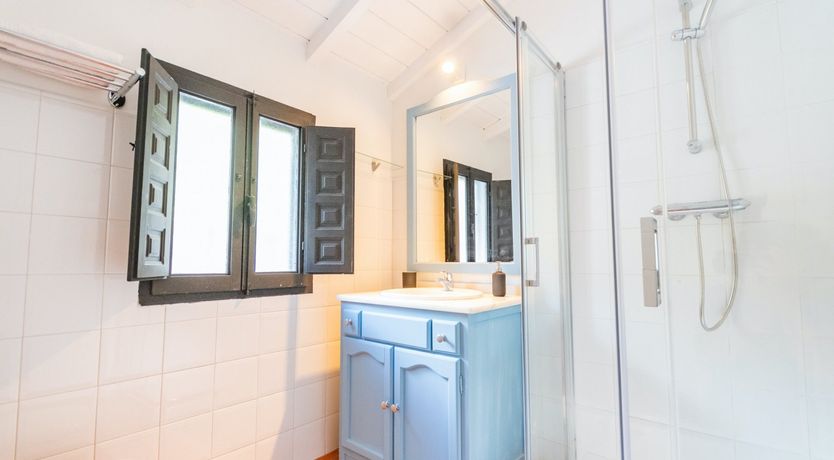 Photo of Palm Tree Shade