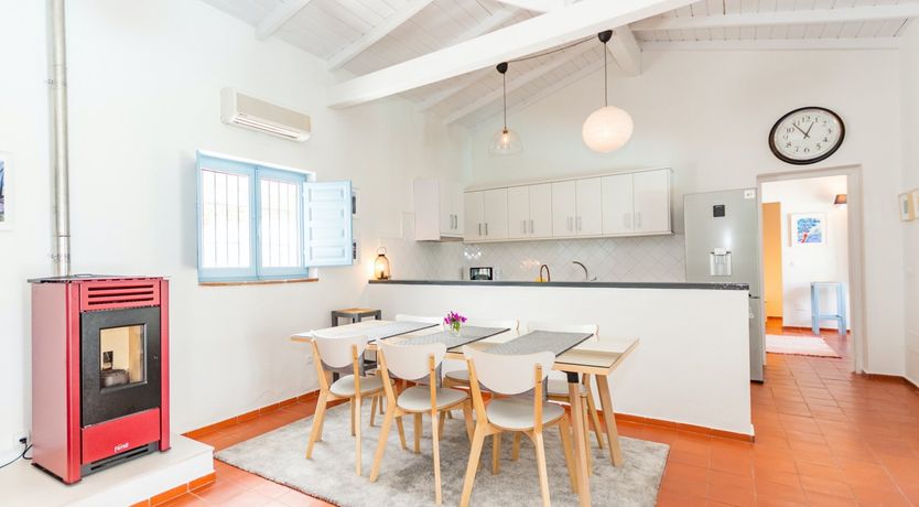 Photo of Palm Tree Shade