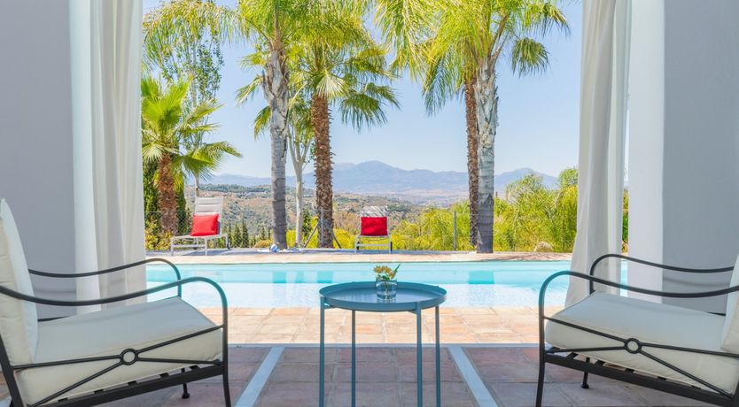 Photo of Palm Tree Shade