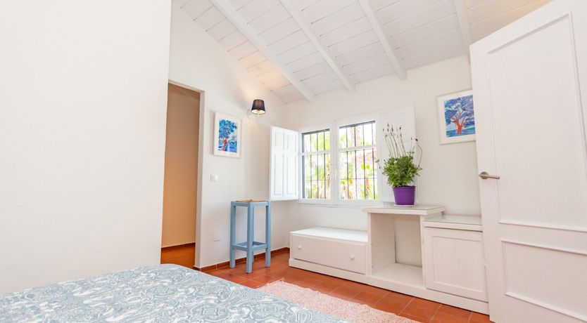 Photo of Palm Tree Shade