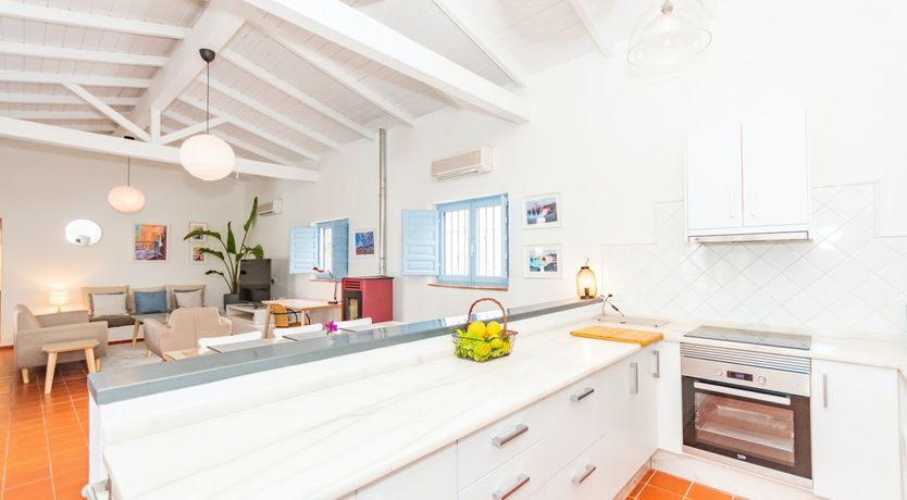 Photo of Palm Tree Shade