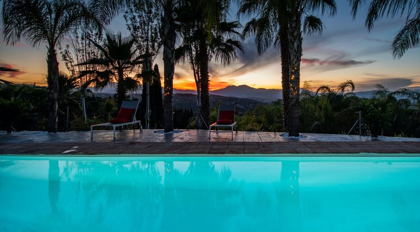 Photo of Palm Tree Shade