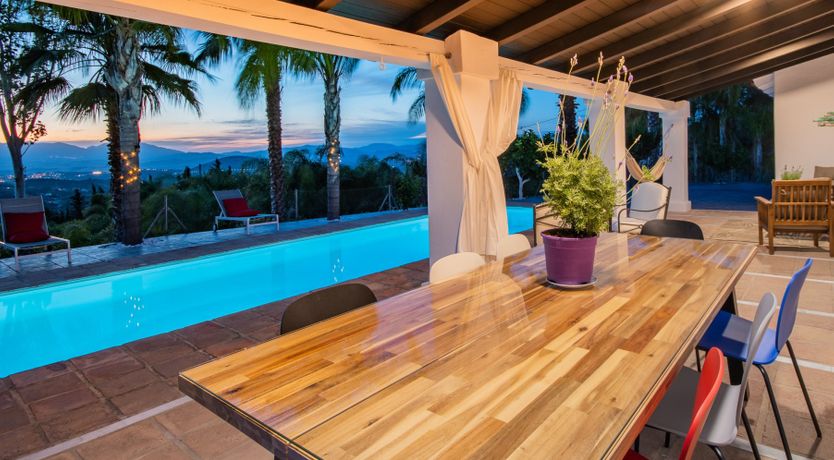 Photo of Palm Tree Shade