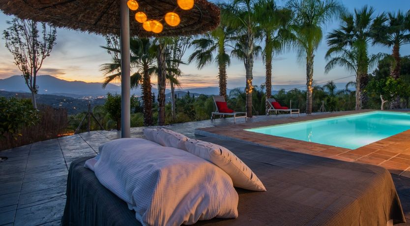 Photo of Palm Tree Shade