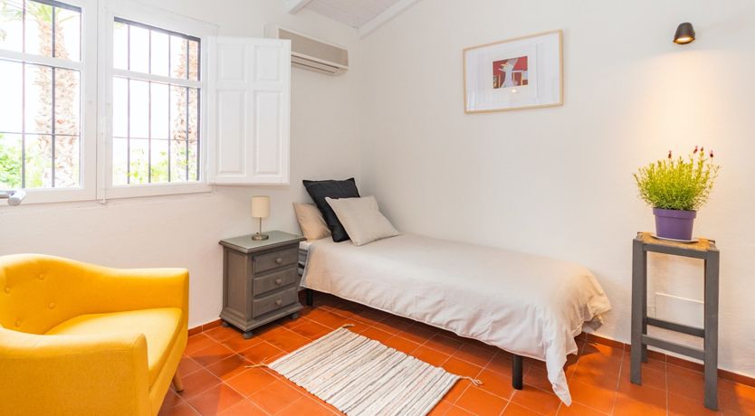 Photo of Palm Tree Shade