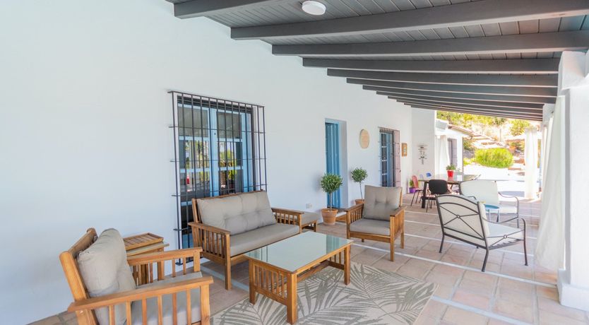 Photo of Palm Tree Shade