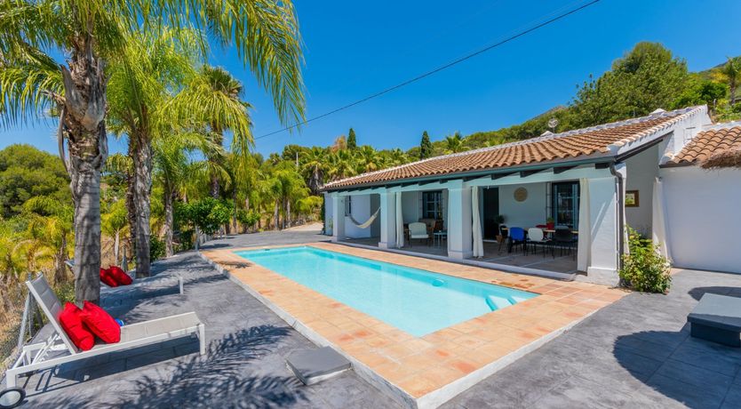 Photo of Palm Tree Shade