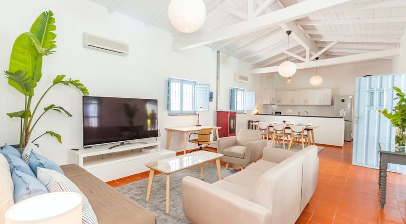 Photo of Palm Tree Shade