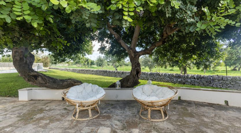 Photo of The Garden of Moonlight