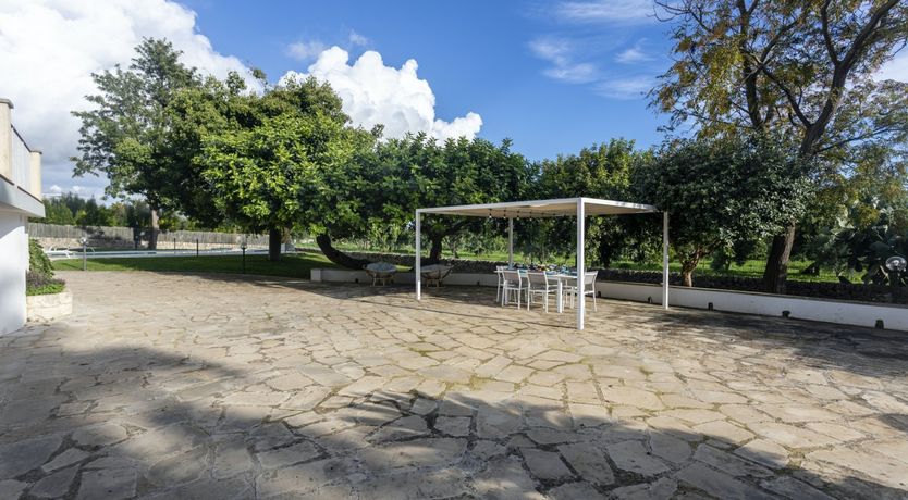 Photo of The Garden of Moonlight