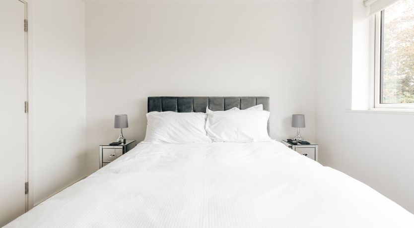 Photo of Velvet & Velour