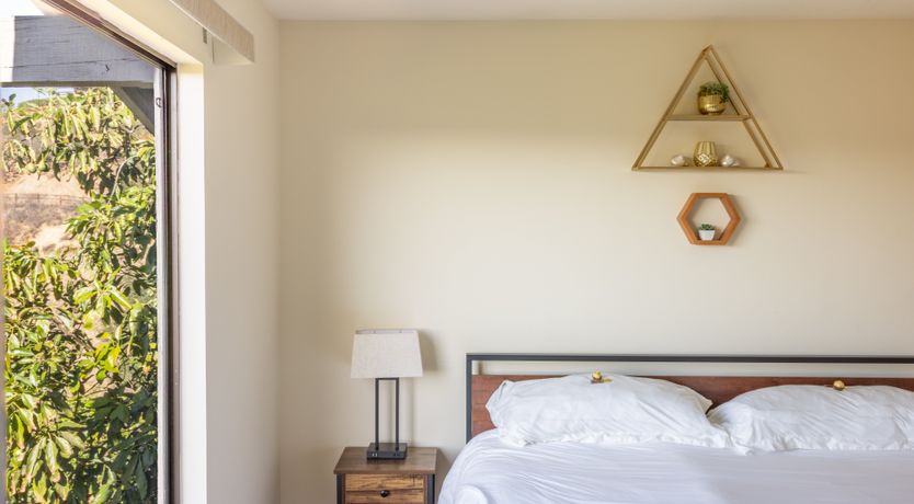 Photo of Avocado Groves