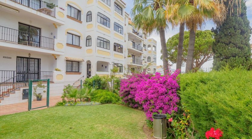 Photo of Sunny Times