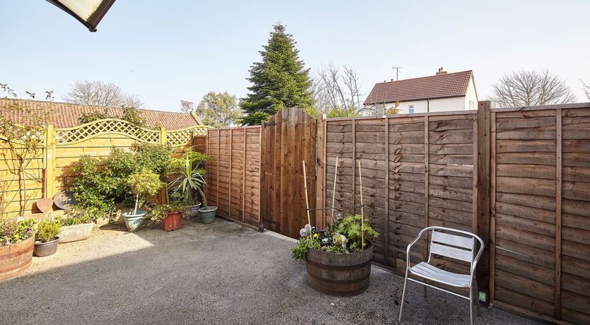 Photo of Sweet Beams