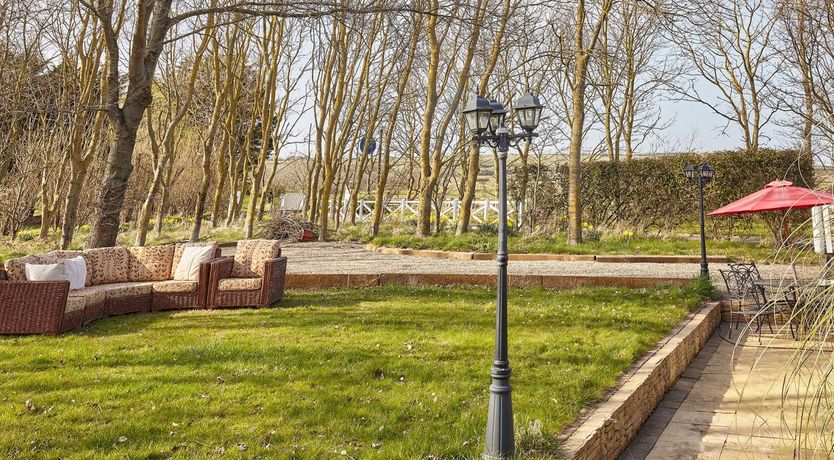 Photo of Sweet Beams