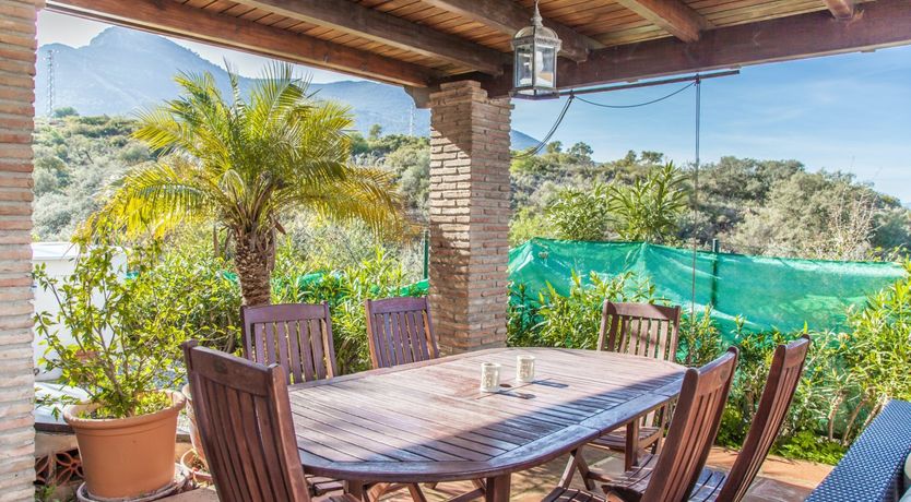 Photo of Orange Peel & Forest Green