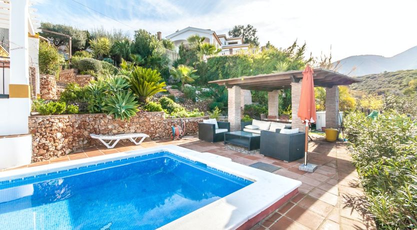 Photo of Orange Peel & Forest Green