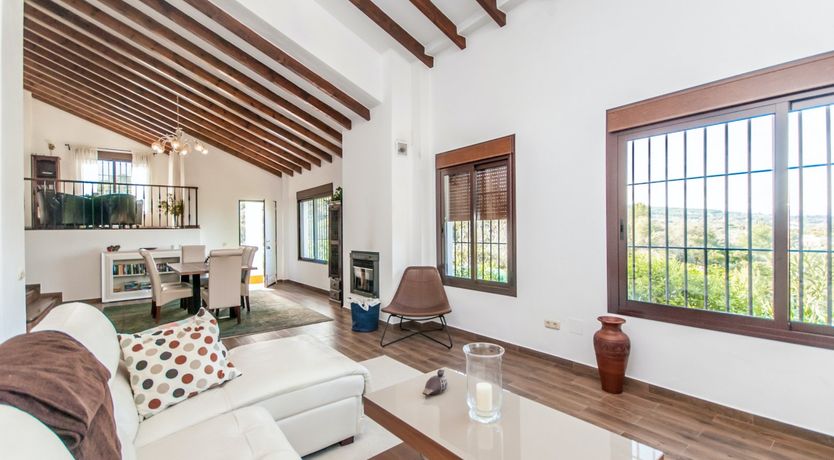 Photo of Orange Peel & Forest Green