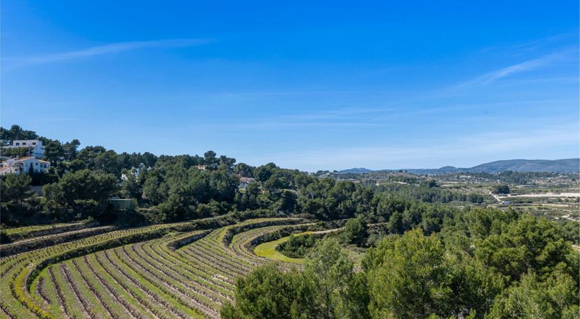 Photo of Overlooking the Kingdom