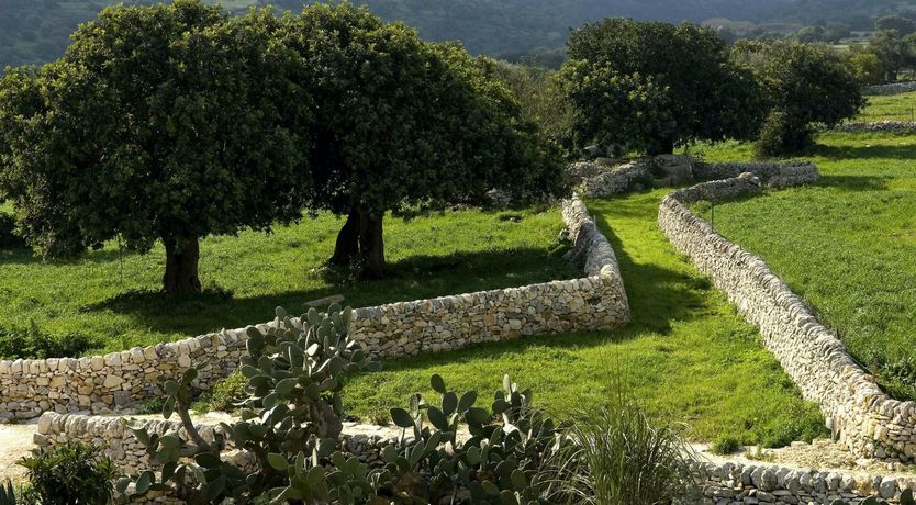 Photo of Rustic Reflection