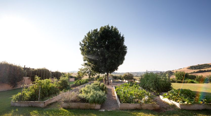 Photo of Pool Of Honey