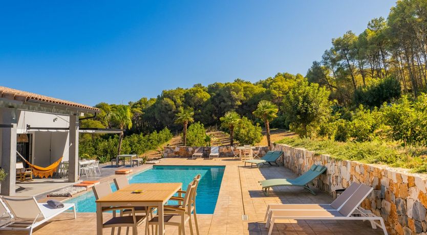 Photo of Moon Over Pines