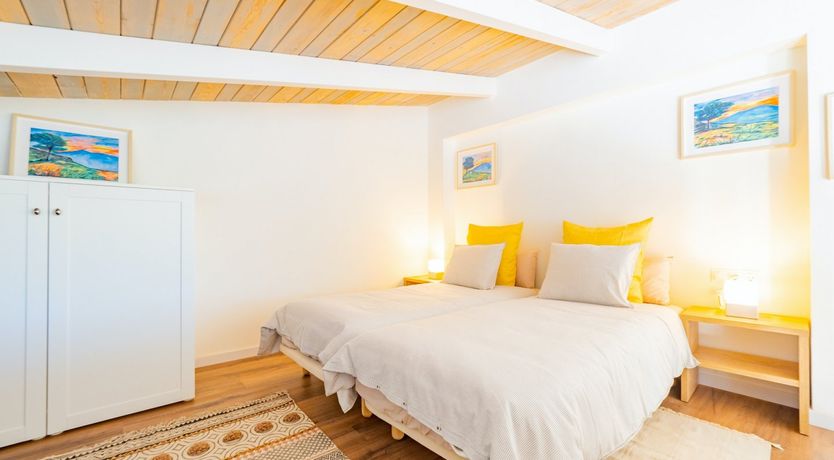 Photo of Moon Over Pines